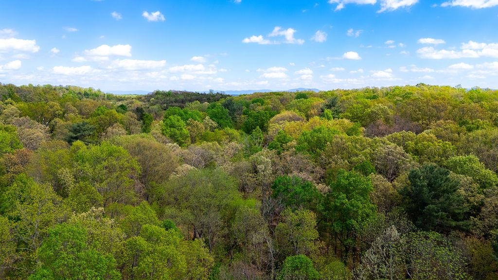 TBD HESSIAN LN, STAUNTON, Virginia 24401, ,Land,TBD HESSIAN LN,676182 MLS # 676182