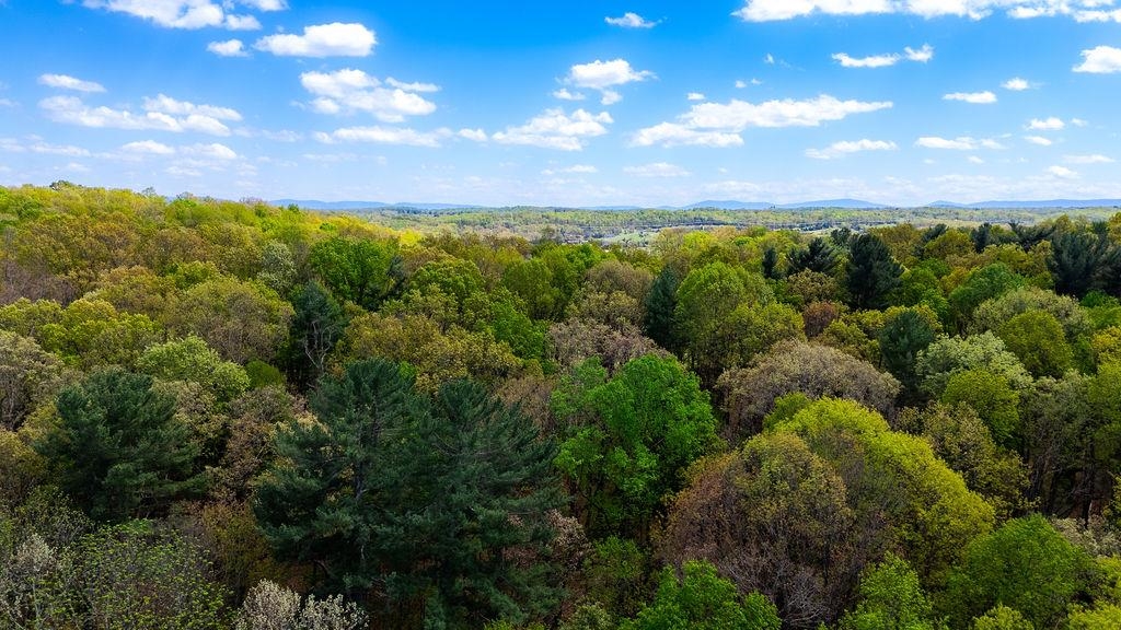 TBD HESSIAN LN, STAUNTON, Virginia 24401, ,Land,TBD HESSIAN LN,676182 MLS # 676182