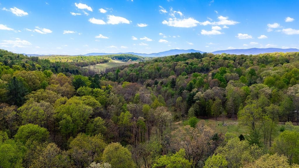 TBD HESSIAN LN, STAUNTON, Virginia 24401, ,Land,TBD HESSIAN LN,676182 MLS # 676182