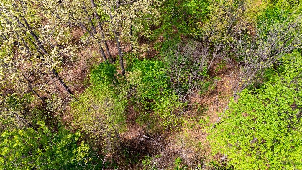 TBD HESSIAN LN, STAUNTON, Virginia 24401, ,Land,TBD HESSIAN LN,676182 MLS # 676182