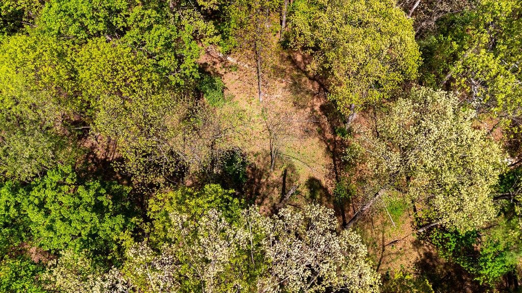 TBD HESSIAN LN, STAUNTON, Virginia 24401, ,Land,TBD HESSIAN LN,676182 MLS # 676182