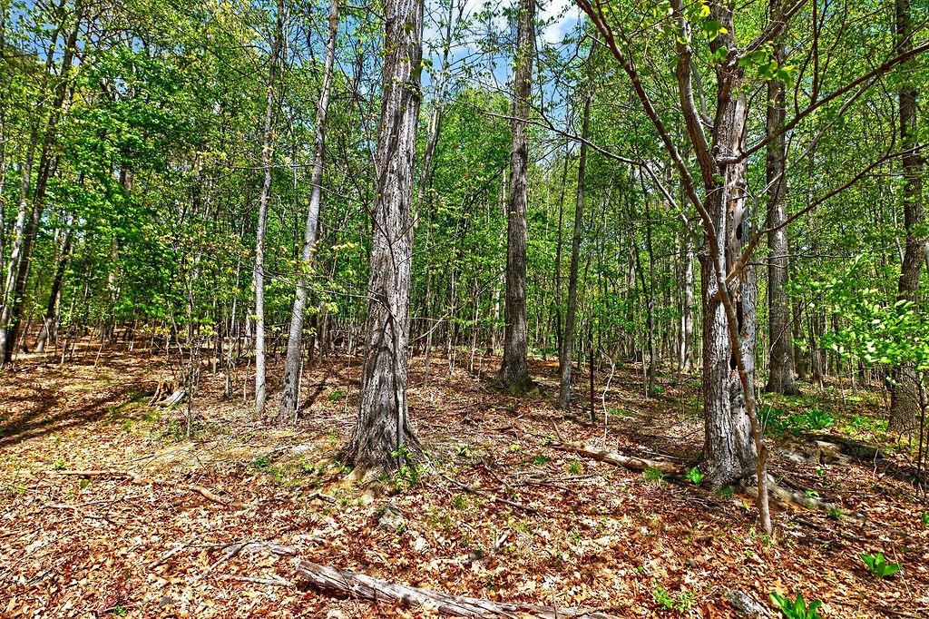 TBD HESSIAN LN, STAUNTON, Virginia 24401, ,Land,TBD HESSIAN LN,676182 MLS # 676182