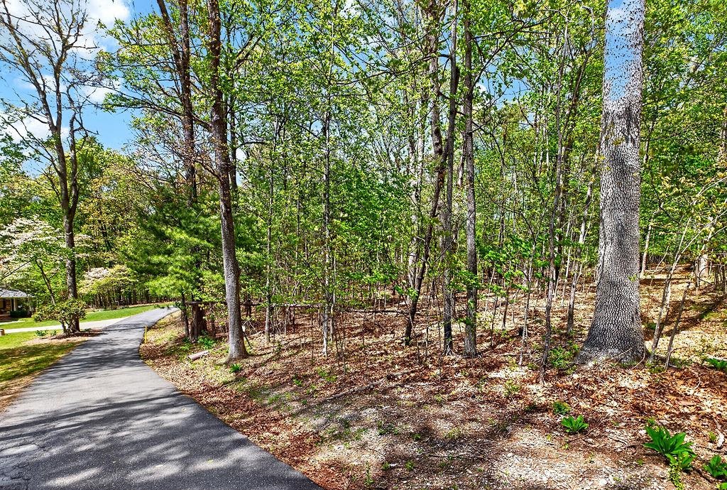 TBD HESSIAN LN, STAUNTON, Virginia 24401, ,Land,TBD HESSIAN LN,676182 MLS # 676182