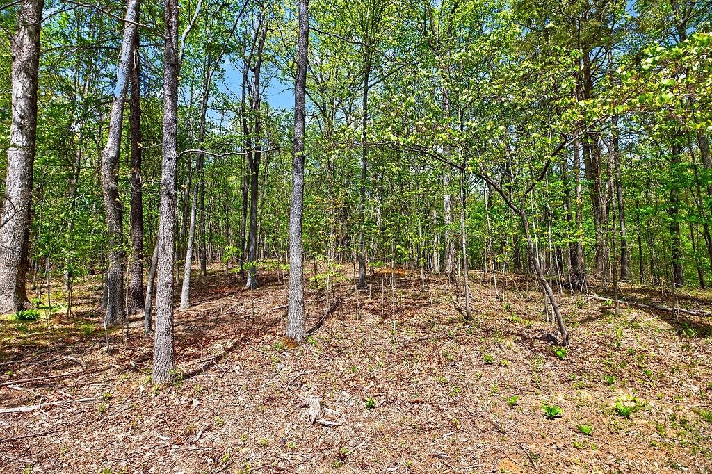 TBD HESSIAN LN, STAUNTON, Virginia 24401, ,Land,TBD HESSIAN LN,676182 MLS # 676182