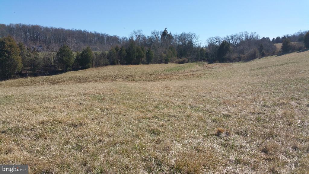 9471 LITTLE SKYLINE DR, ORANGE, Virginia 22960, 4 Bedrooms Bedrooms, ,6 BathroomsBathrooms,Residential,9471 LITTLE SKYLINE DR,VAOR2013928 MLS # VAOR2013928