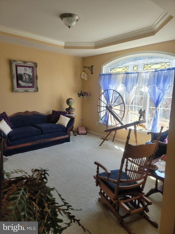 9471 LITTLE SKYLINE DR, ORANGE, Virginia 22960, 4 Bedrooms Bedrooms, ,6 BathroomsBathrooms,Residential,9471 LITTLE SKYLINE DR,VAOR2013928 MLS # VAOR2013928