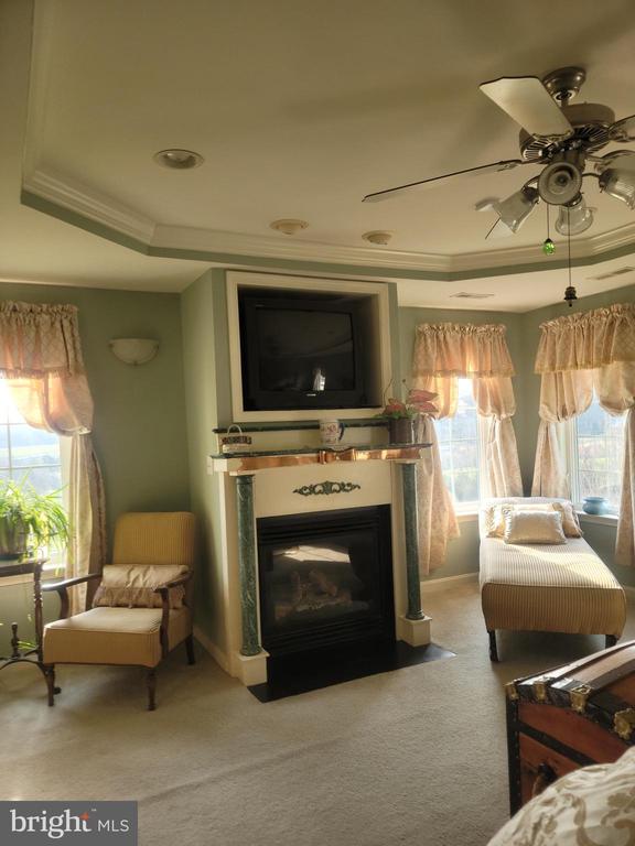 9471 LITTLE SKYLINE DR, ORANGE, Virginia 22960, 4 Bedrooms Bedrooms, ,6 BathroomsBathrooms,Residential,9471 LITTLE SKYLINE DR,VAOR2013928 MLS # VAOR2013928