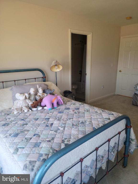 9471 LITTLE SKYLINE DR, ORANGE, Virginia 22960, 4 Bedrooms Bedrooms, ,6 BathroomsBathrooms,Residential,9471 LITTLE SKYLINE DR,VAOR2013928 MLS # VAOR2013928