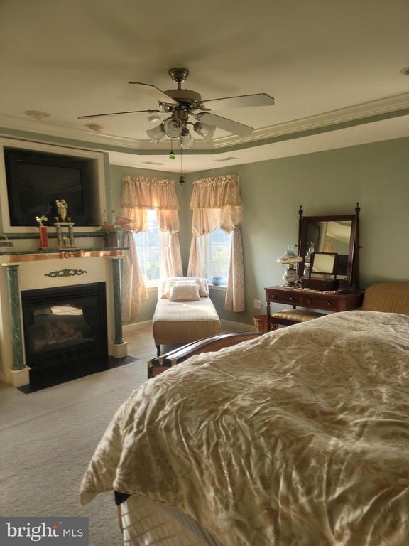 9471 LITTLE SKYLINE DR, ORANGE, Virginia 22960, 4 Bedrooms Bedrooms, ,6 BathroomsBathrooms,Residential,9471 LITTLE SKYLINE DR,VAOR2013928 MLS # VAOR2013928