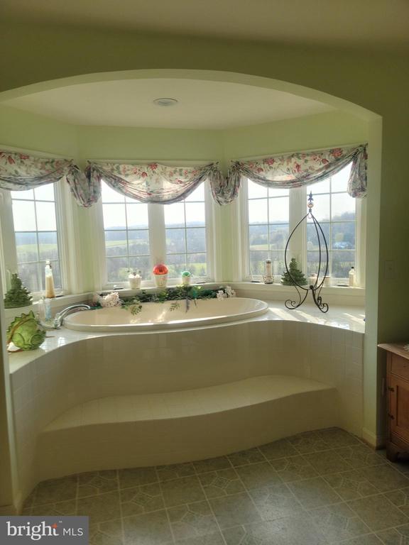 9471 LITTLE SKYLINE DR, ORANGE, Virginia 22960, 4 Bedrooms Bedrooms, ,6 BathroomsBathrooms,Residential,9471 LITTLE SKYLINE DR,VAOR2013928 MLS # VAOR2013928