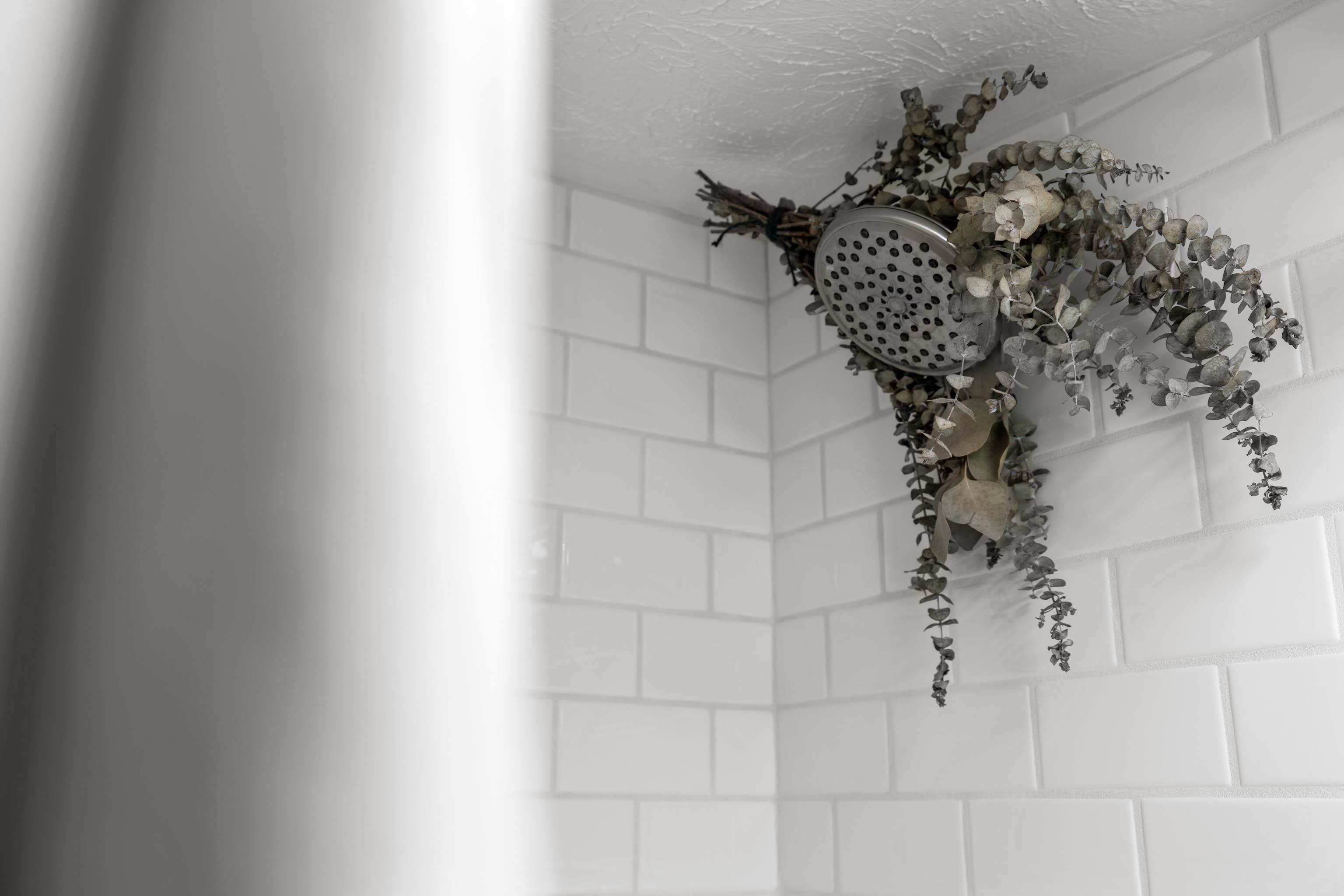 6748 SPRING CREEK RD, BRIDGEWATER, Virginia 22812, 4 Bedrooms Bedrooms, ,2 BathroomsBathrooms,Residential,6748 SPRING CREEK RD,676176 MLS # 676176