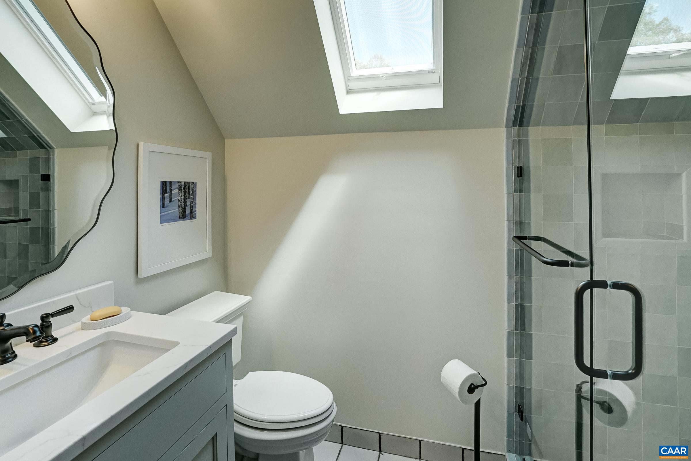 Full bathroom with skylight and frameless glass shower.