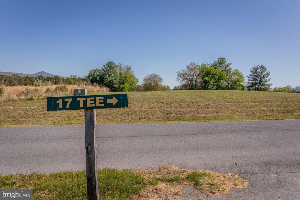 BEALL AVE, LURAY, Virginia 22835, ,Land,BEALL AVE,VAPA2006324 MLS # VAPA2006324