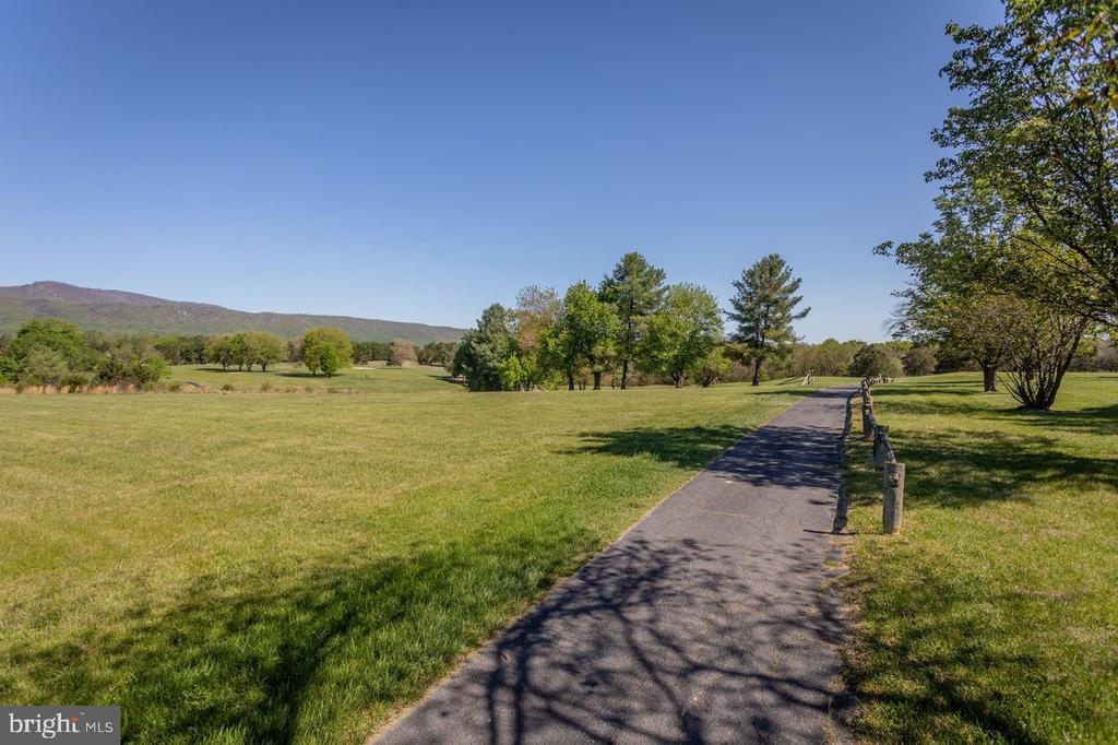 BEALL AVE, LURAY, Virginia 22835, ,Land,BEALL AVE,VAPA2006324 MLS # VAPA2006324