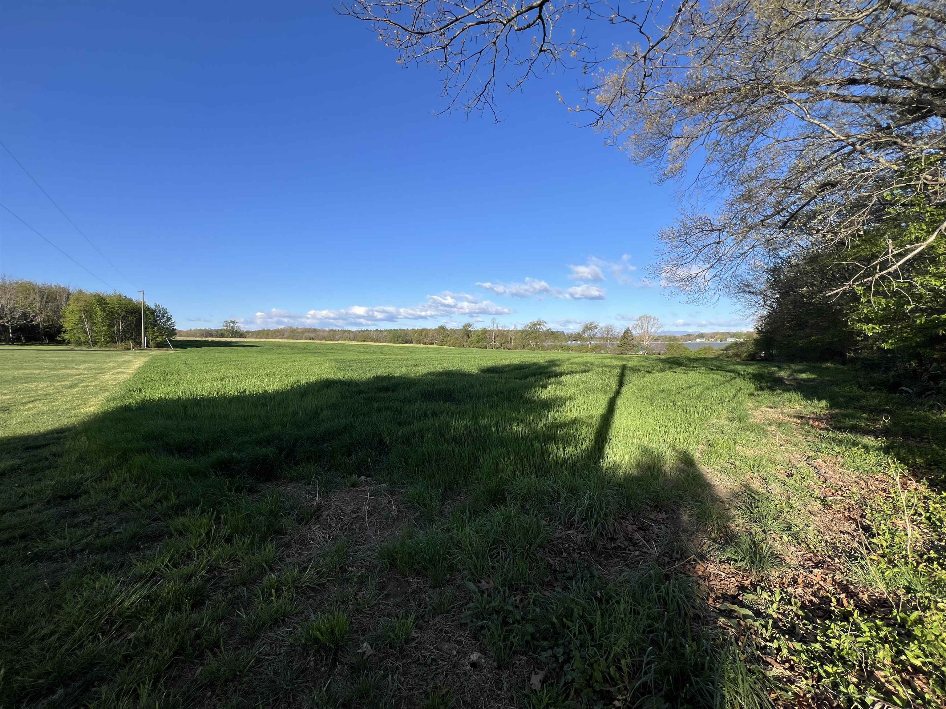 TBD MORTON RD, CRIMORA, Virginia 24431, ,Land,TBD MORTON RD,676194 MLS # 676194