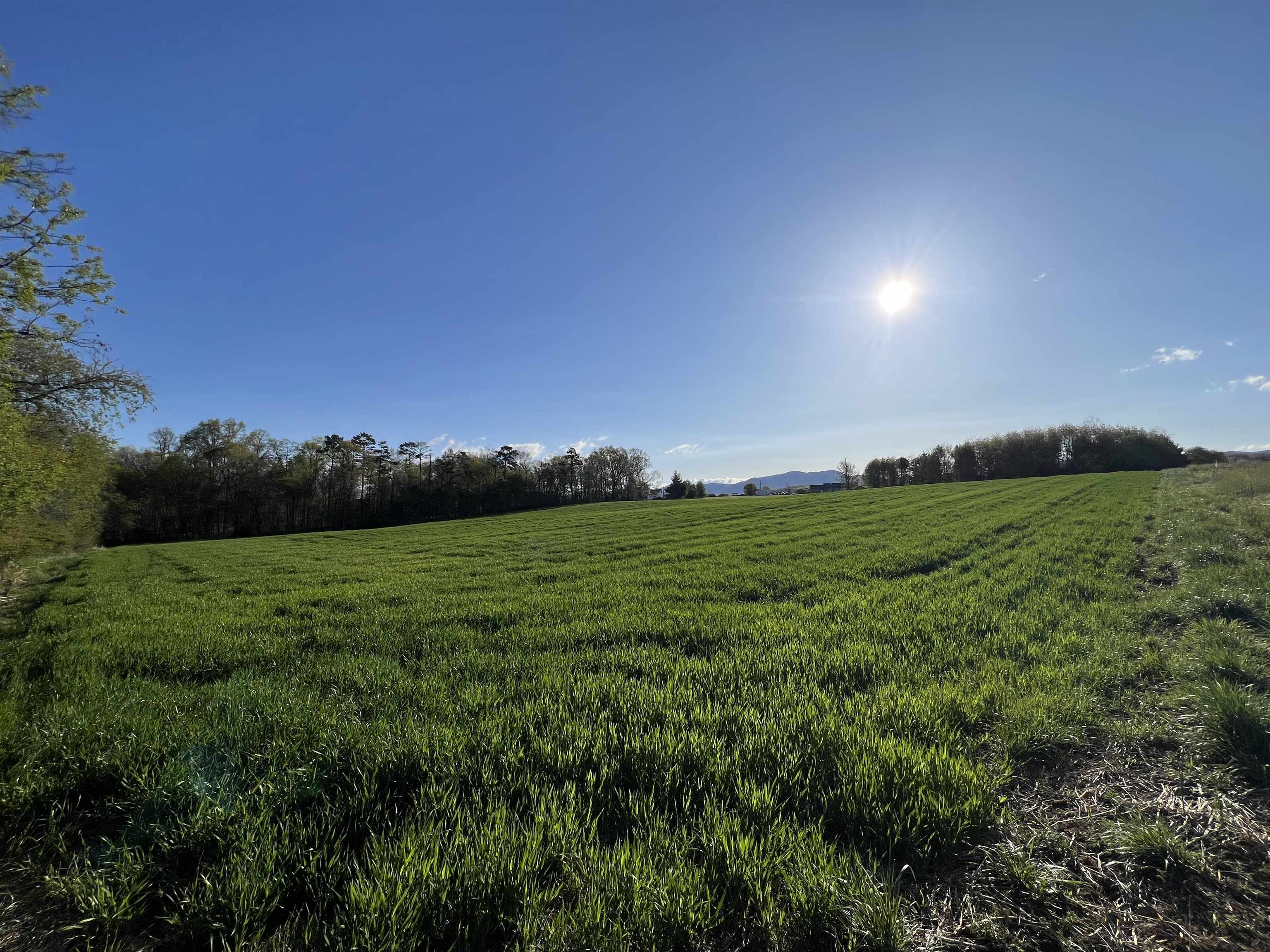 TBD MORTON RD, CRIMORA, Virginia 24431, ,Land,TBD MORTON RD,676194 MLS # 676194