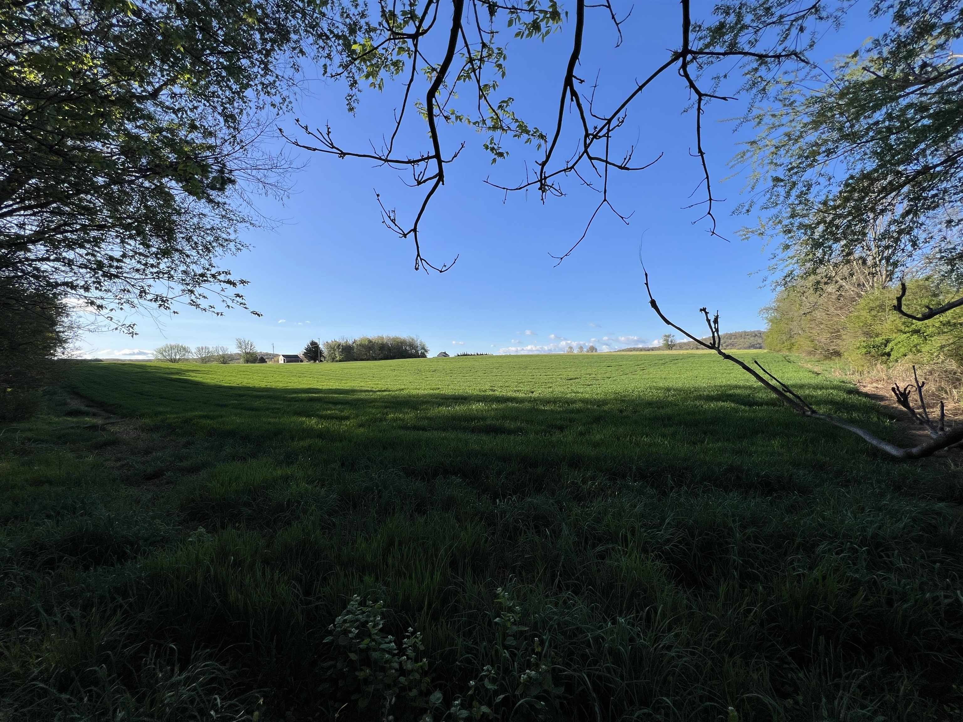 TBD MORTON RD, CRIMORA, Virginia 24431, ,Land,TBD MORTON RD,676194 MLS # 676194