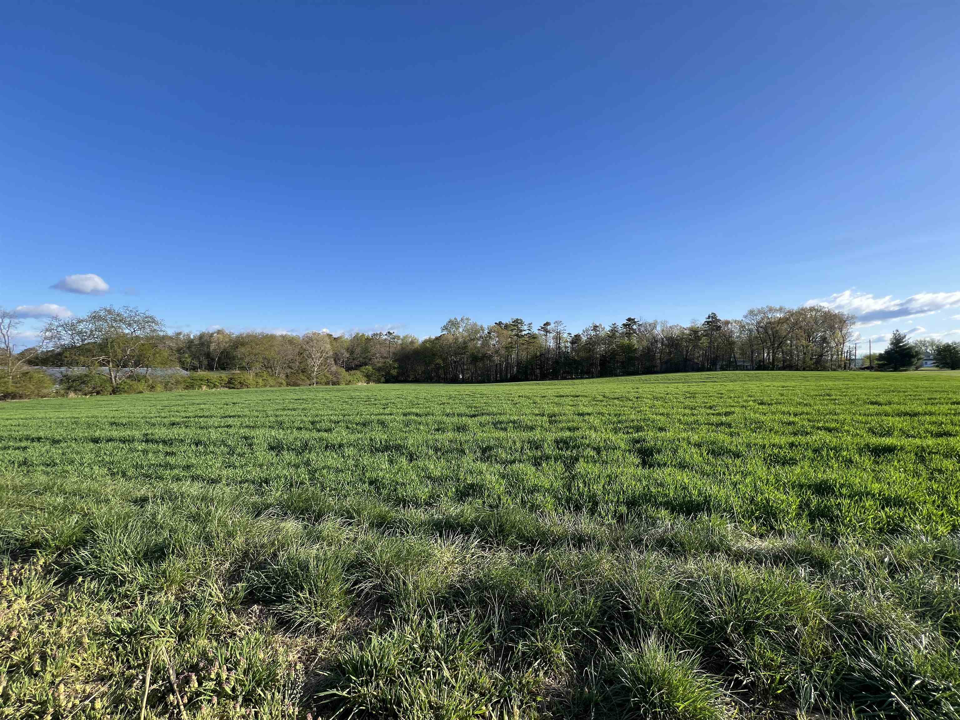 TBD MORTON RD, CRIMORA, Virginia 24431, ,Land,TBD MORTON RD,676194 MLS # 676194