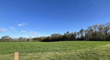 TBD MORTON RD, CRIMORA, Virginia 24431, ,Land,TBD MORTON RD,676194 MLS # 676194