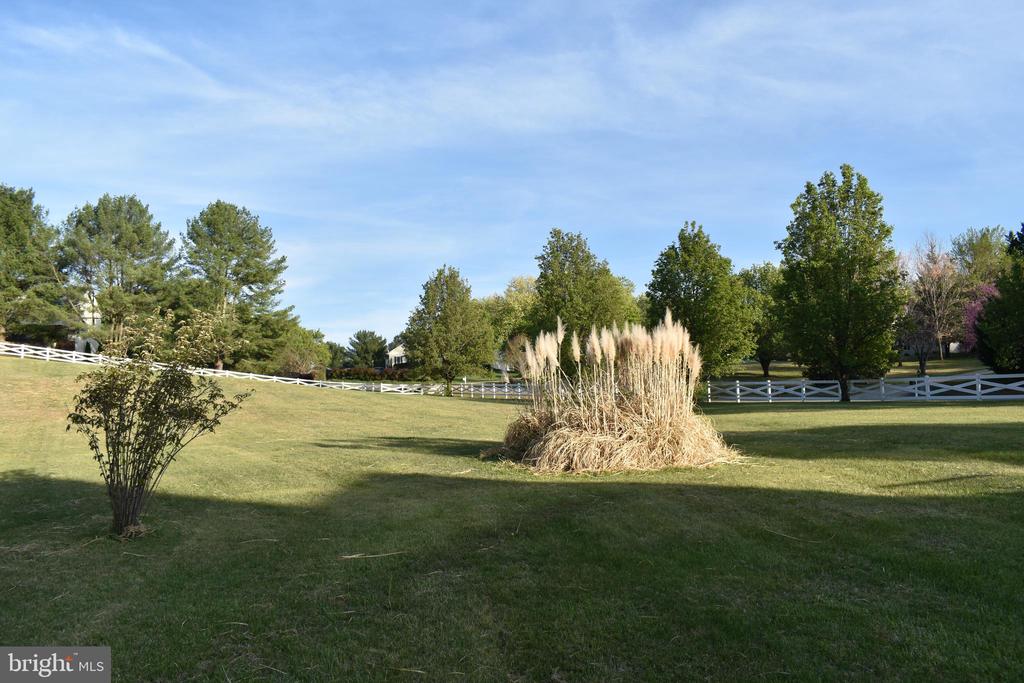 7211 CATTAIL CT, FREDERICKSBURG, Virginia 22407, 4 Bedrooms Bedrooms, ,2 BathroomsBathrooms,Residential,7211 CATTAIL CT,VASP2040948 MLS # VASP2040948