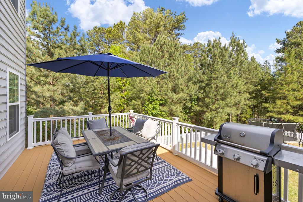 6016 GREENSPRING RD, FREDERICKSBURG, Virginia 22407, 6 Bedrooms Bedrooms, ,5 BathroomsBathrooms,Residential,6016 GREENSPRING RD,VASP2040998 MLS # VASP2040998