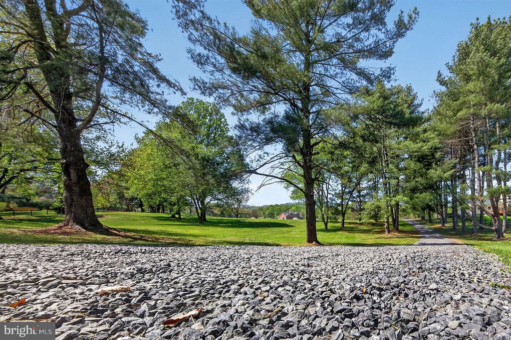 10037 COBBLER VIEW DR, DELAPLANE, Virginia 20144, 5 Bedrooms Bedrooms, ,3 BathroomsBathrooms,Residential,10037 COBBLER VIEW DR,VAFQ2021612 MLS # VAFQ2021612