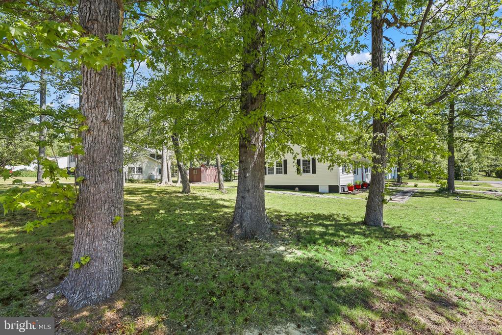 401 CLEVELAND CT, FREDERICKSBURG, Virginia 22407, 3 Bedrooms Bedrooms, ,2 BathroomsBathrooms,Residential,401 CLEVELAND CT,VASP2041094 MLS # VASP2041094