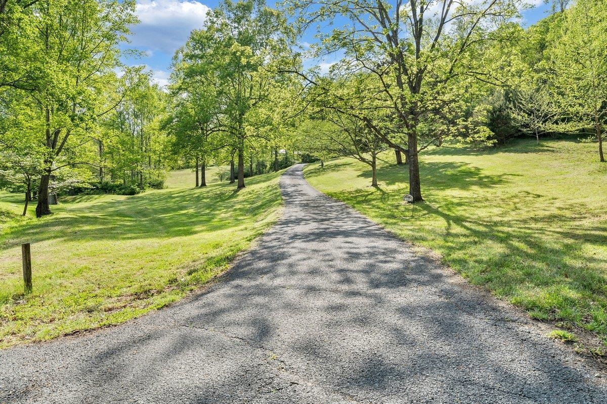 649 GREYLEDGE RD, BUCHANAN, Virginia 24066, 3 Bedrooms Bedrooms, ,4 BathroomsBathrooms,Residential,649 GREYLEDGE RD,676201 MLS # 676201