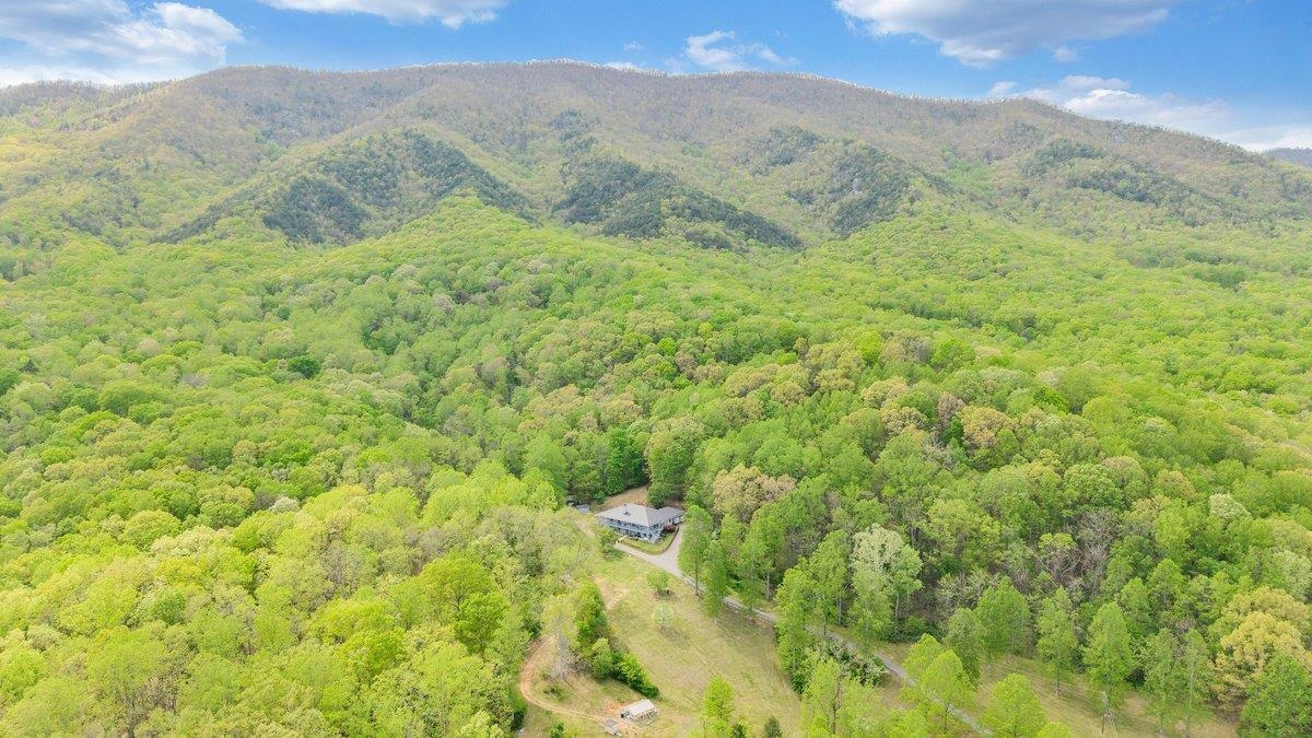 649 GREYLEDGE RD, BUCHANAN, Virginia 24066, 3 Bedrooms Bedrooms, ,4 BathroomsBathrooms,Residential,649 GREYLEDGE RD,676201 MLS # 676201