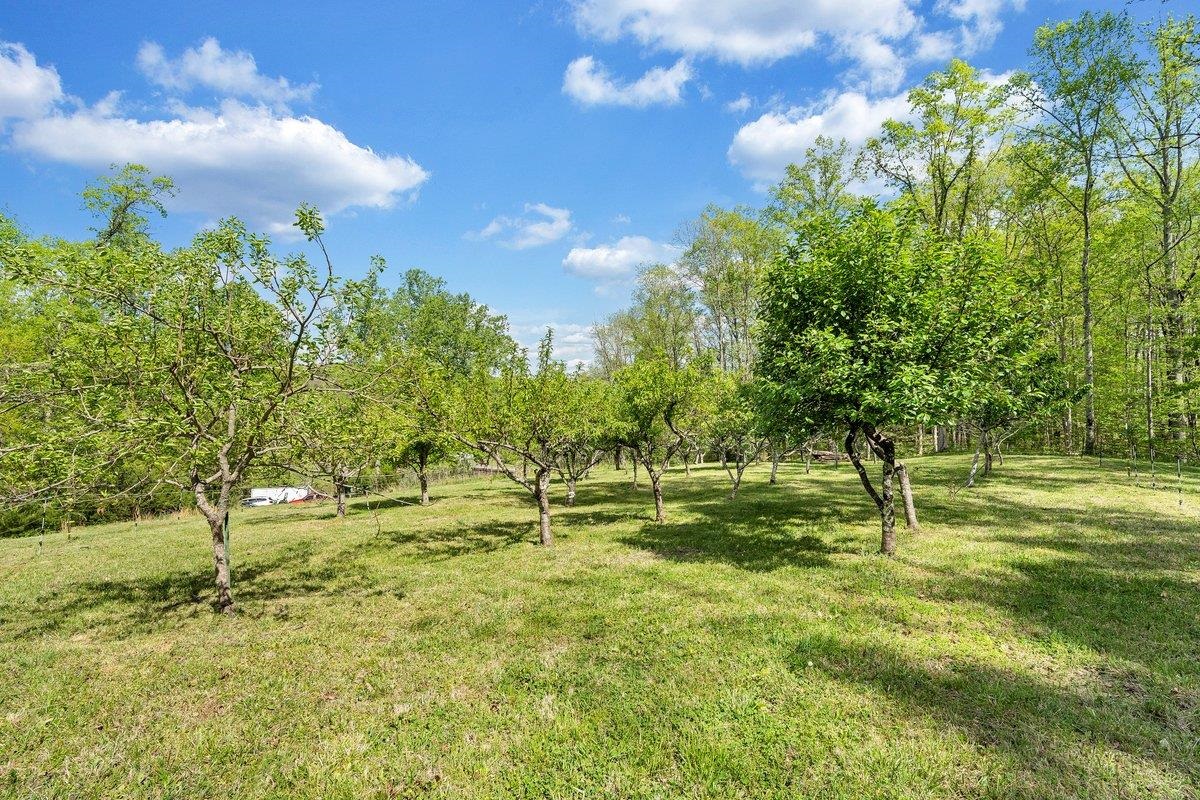 649 GREYLEDGE RD, BUCHANAN, Virginia 24066, 3 Bedrooms Bedrooms, ,4 BathroomsBathrooms,Residential,649 GREYLEDGE RD,676201 MLS # 676201