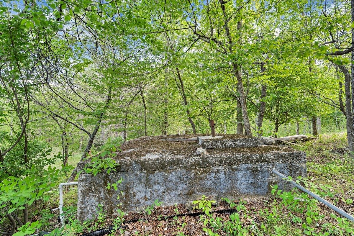 649 GREYLEDGE RD, BUCHANAN, Virginia 24066, 3 Bedrooms Bedrooms, ,4 BathroomsBathrooms,Residential,649 GREYLEDGE RD,676201 MLS # 676201