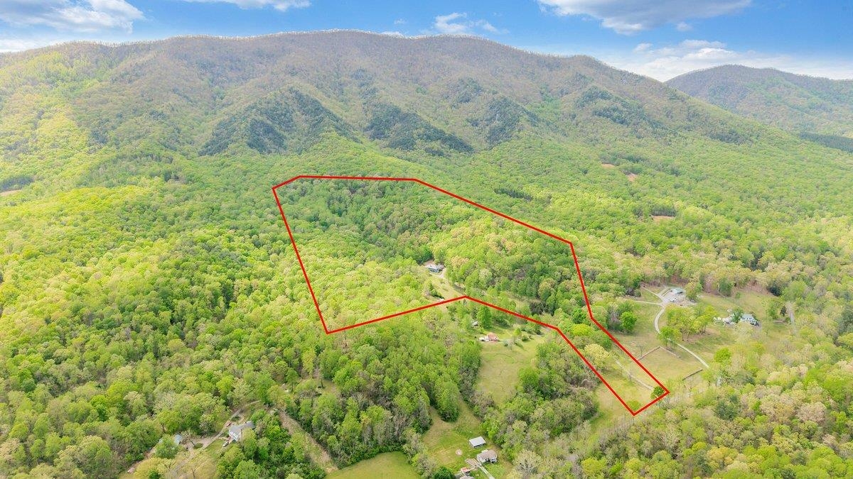 649 GREYLEDGE RD, BUCHANAN, Virginia 24066, 3 Bedrooms Bedrooms, ,4 BathroomsBathrooms,Residential,649 GREYLEDGE RD,676201 MLS # 676201