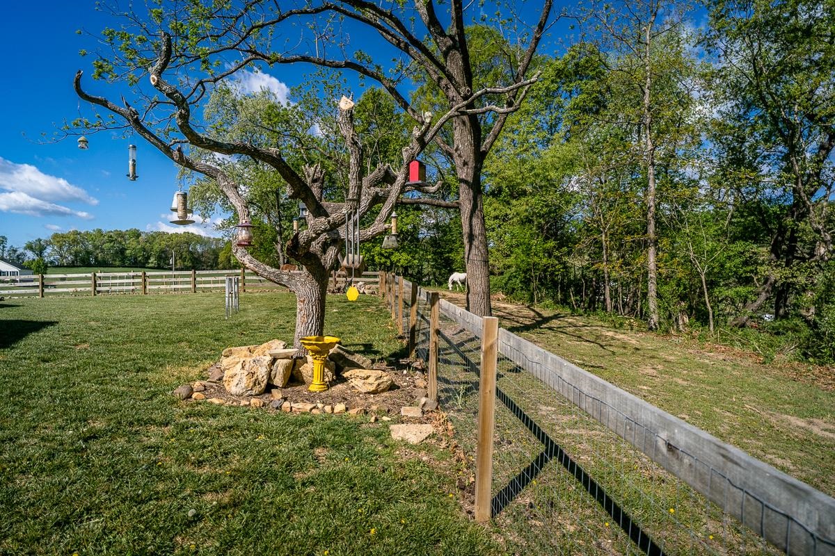 99 MT IDA LN, STAUNTON, Virginia 24401, 3 Bedrooms Bedrooms, ,2 BathroomsBathrooms,Residential,99 MT IDA LN,676212 MLS # 676212