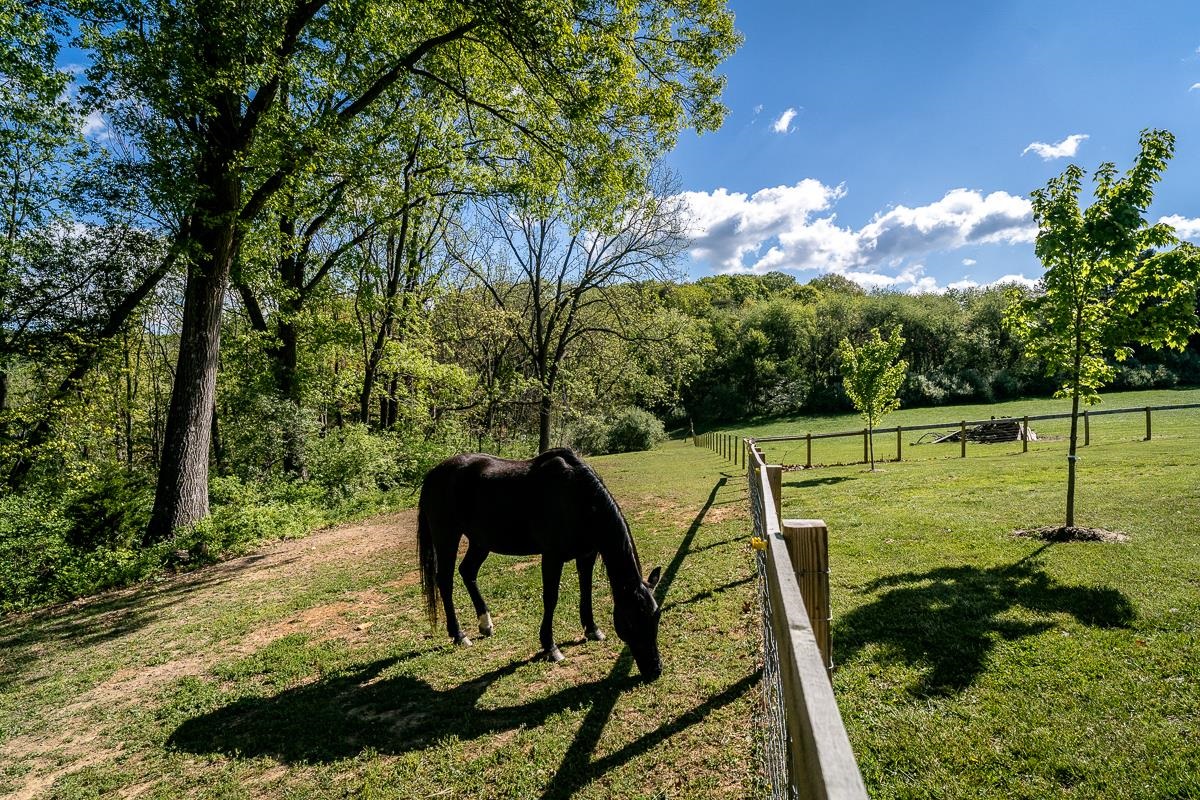 99 MT IDA LN, STAUNTON, Virginia 24401, 3 Bedrooms Bedrooms, ,2 BathroomsBathrooms,Residential,99 MT IDA LN,676212 MLS # 676212