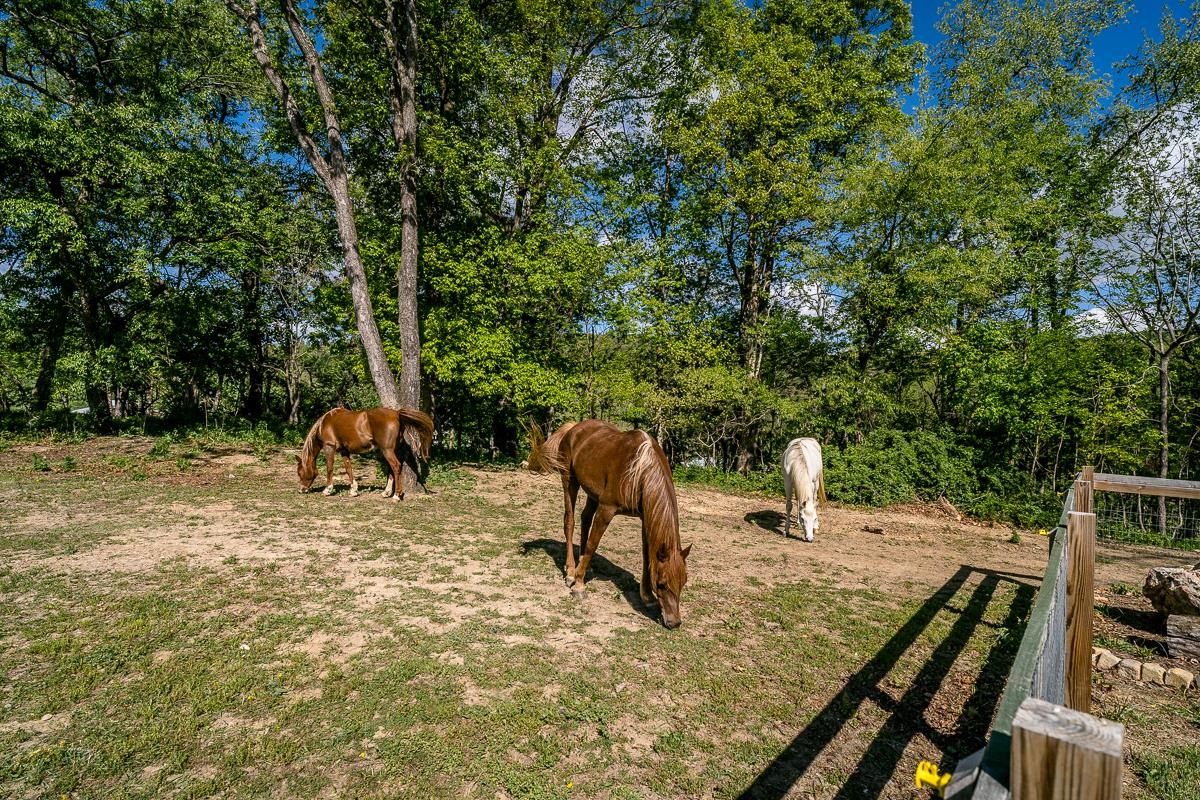 99 MT IDA LN, STAUNTON, Virginia 24401, 3 Bedrooms Bedrooms, ,2 BathroomsBathrooms,Residential,99 MT IDA LN,676212 MLS # 676212