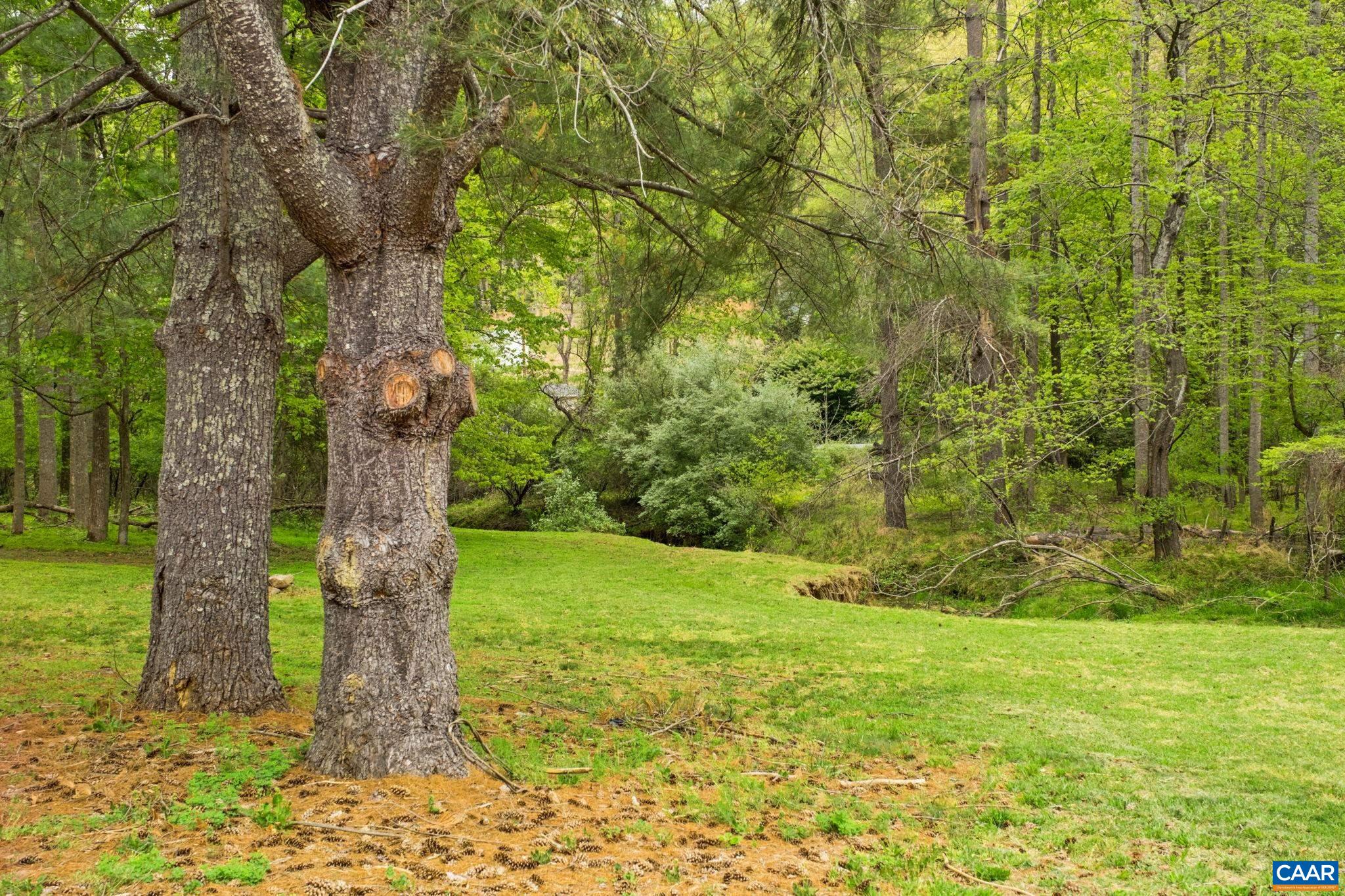 1680 CRAIGS STORE RD, AFTON, Virginia 22920, 3 Bedrooms Bedrooms, ,2 BathroomsBathrooms,Residential,Batesville Charmer,1680 CRAIGS STORE RD,676216 MLS # 676216