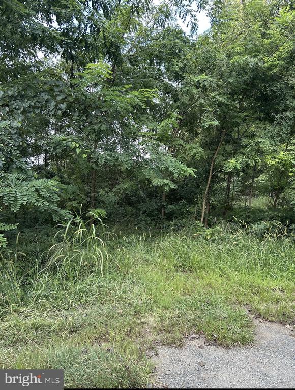 129 BOWLER LN, ORANGE, Virginia 22960, ,Land,129 BOWLER LN,VAOR2013948 MLS # VAOR2013948