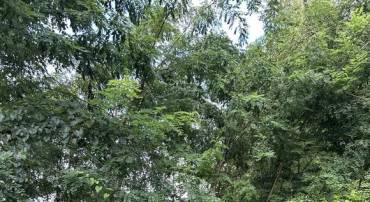 129 BOWLER LN, ORANGE, Virginia 22960, ,Land,129 BOWLER LN,VAOR2013948 MLS # VAOR2013948