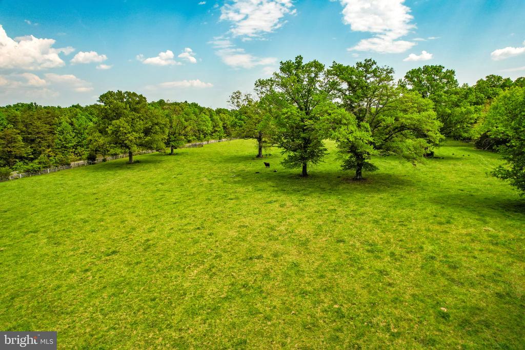 0 RITCHIE RD, MIDLAND, Virginia 22728, ,Land,0 RITCHIE RD,VAFQ2021708 MLS # VAFQ2021708 0 RITCHIE RD, MIDLAND, Virginia 22728, ,Land,0 RITCHIE RD,VAFQ2021708 MLS # VAFQ2021708