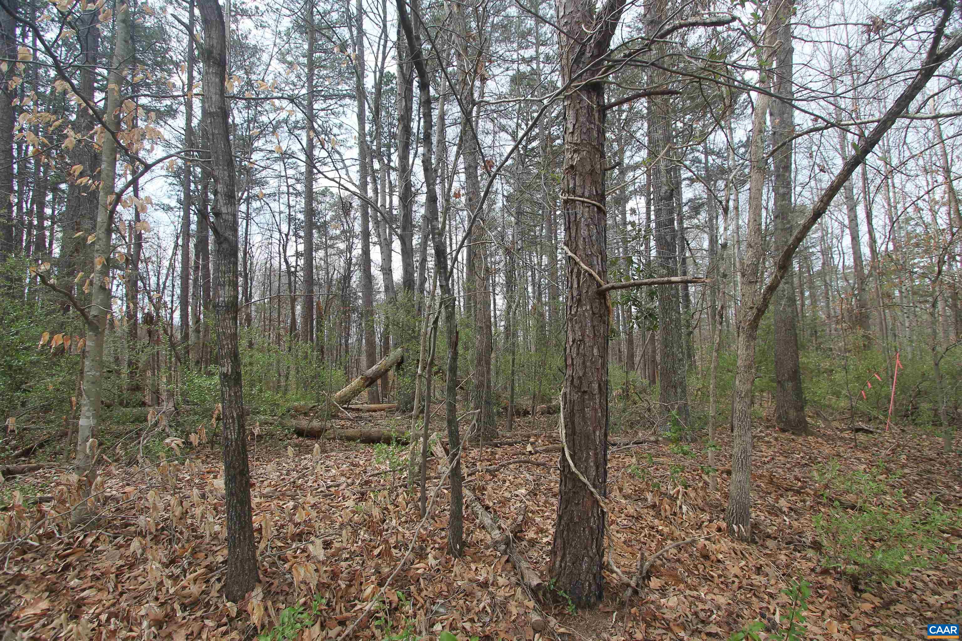 TBD SULPHUR MINE RD, CHARLOTTESVILLE, Virginia 22911, ,Land,TBD SULPHUR MINE RD,674861 MLS # 674861