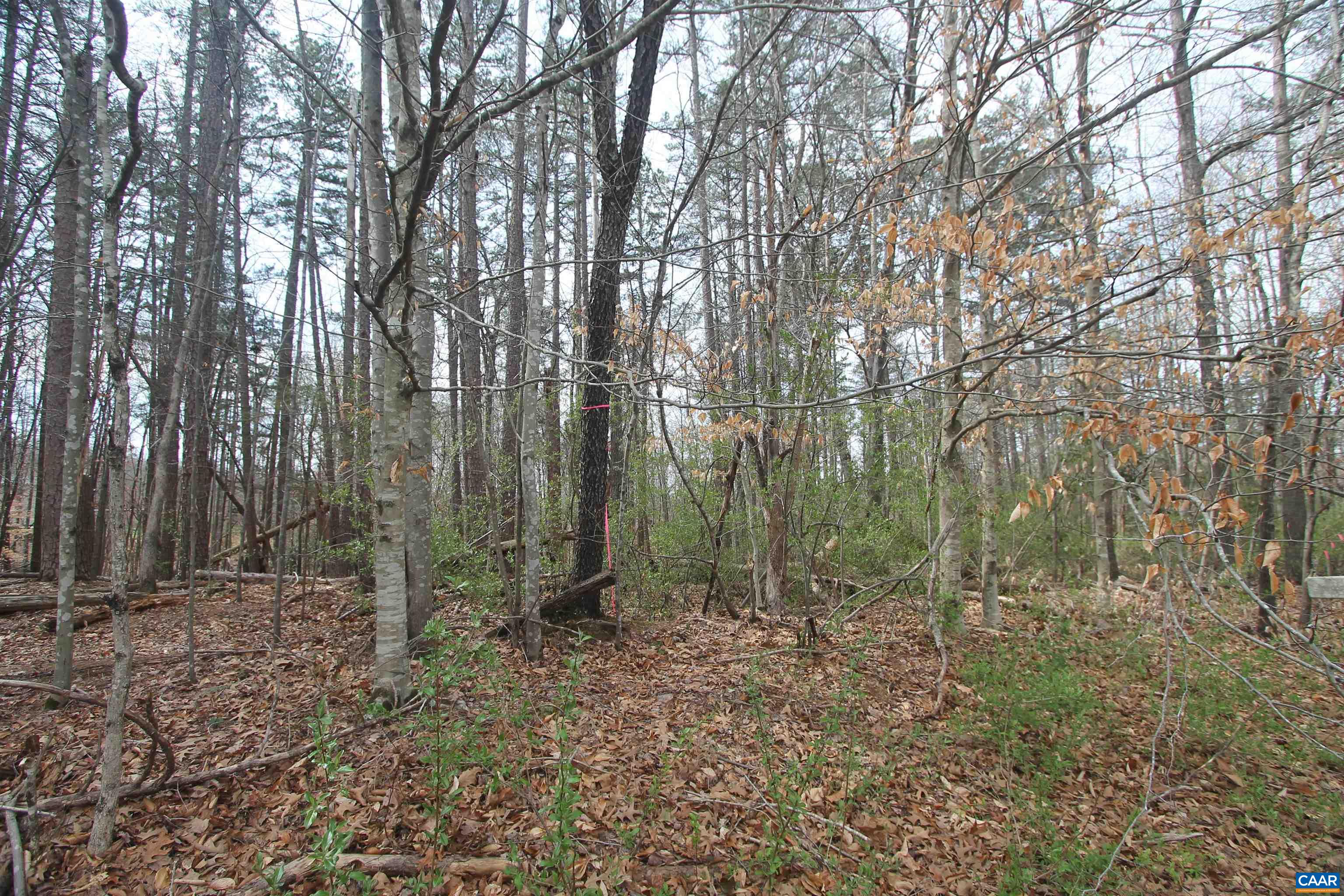 TBD SULPHUR MINE RD, CHARLOTTESVILLE, Virginia 22911, ,Land,TBD SULPHUR MINE RD,674861 MLS # 674861