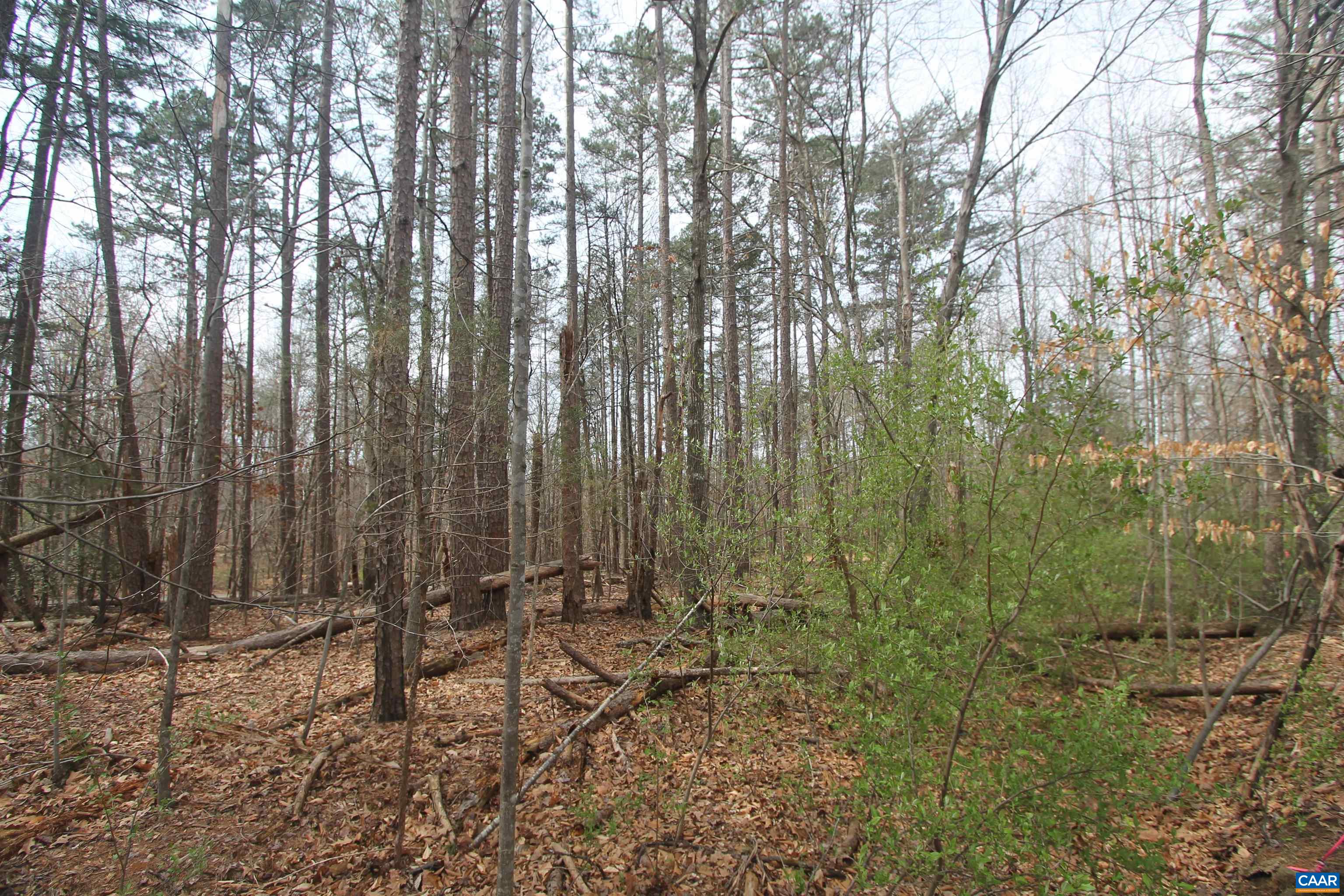 TBD SULPHUR MINE RD, CHARLOTTESVILLE, Virginia 22911, ,Land,TBD SULPHUR MINE RD,674861 MLS # 674861