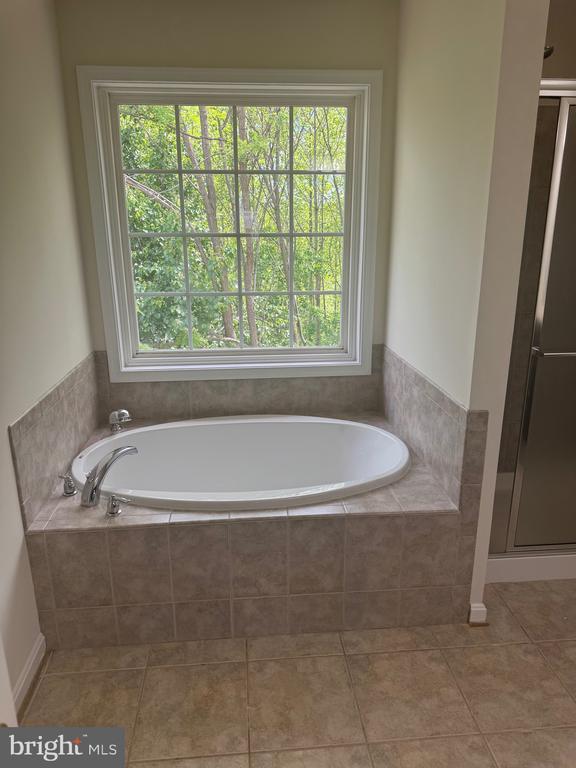 6016 SUNLIGHT MOUNTAIN RD, SPOTSYLVANIA, Virginia 22553, 4 Bedrooms Bedrooms, ,3 BathroomsBathrooms,Residential,6016 SUNLIGHT MOUNTAIN RD,VASP2041136 MLS # VASP2041136