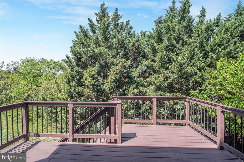 2312 FORSYTHIA DR, CULPEPER, Virginia 22701, 3 Bedrooms Bedrooms, ,2 BathroomsBathrooms,Residential,2312 FORSYTHIA DR,VACU2013392 MLS # VACU2013392