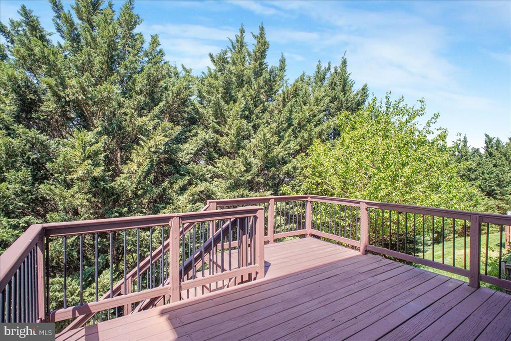 2312 FORSYTHIA DR, CULPEPER, Virginia 22701, 3 Bedrooms Bedrooms, ,2 BathroomsBathrooms,Residential,2312 FORSYTHIA DR,VACU2013392 MLS # VACU2013392