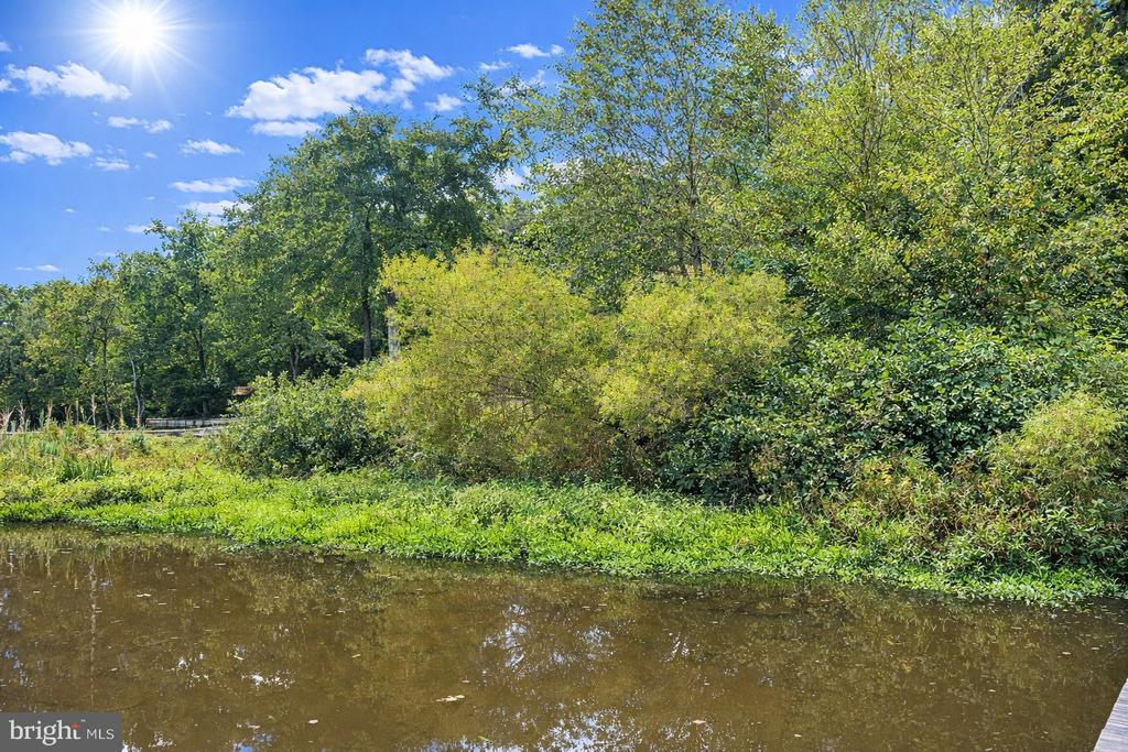 26700 DANIELS POINT DR, UNIONVILLE, Virginia 22567, 4 Bedrooms Bedrooms, ,3 BathroomsBathrooms,Residential,26700 DANIELS POINT DR,VAOR2013950 MLS # VAOR2013950