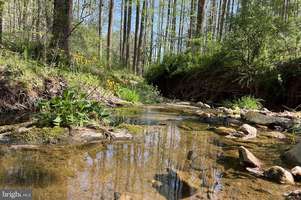 677 WEAVER HOLLOW RD, BANCO, Virginia 22711, 2 Bedrooms Bedrooms, ,1 BathroomBathrooms,Residential,677 WEAVER HOLLOW RD,VAMA2002716 MLS # VAMA2002716