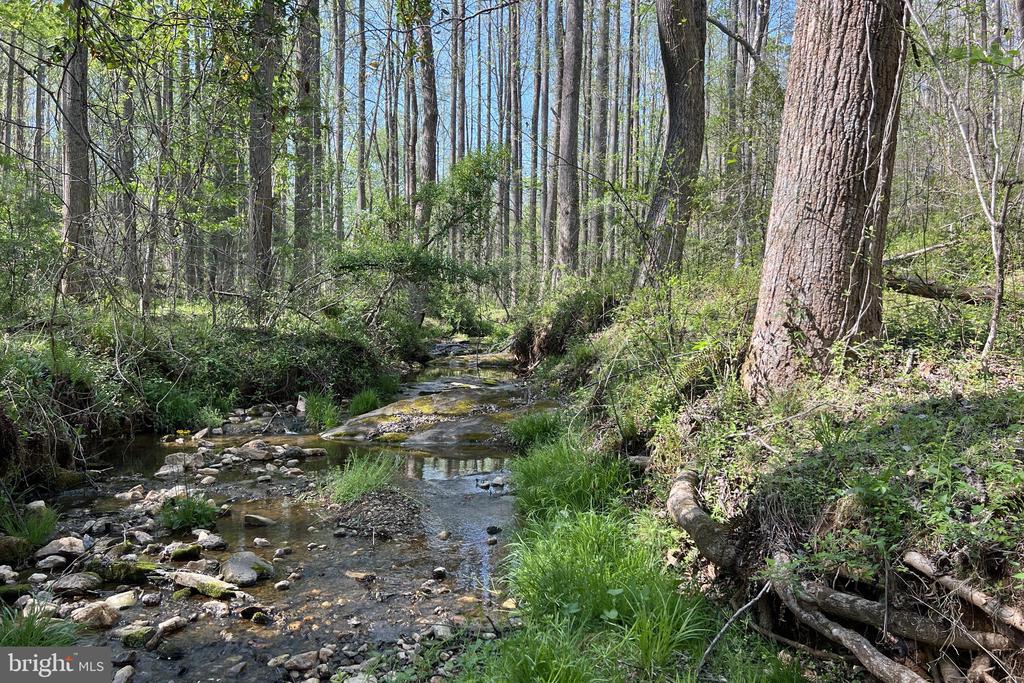 677 WEAVER HOLLOW RD, BANCO, Virginia 22711, 2 Bedrooms Bedrooms, ,1 BathroomBathrooms,Residential,677 WEAVER HOLLOW RD,VAMA2002716 MLS # VAMA2002716