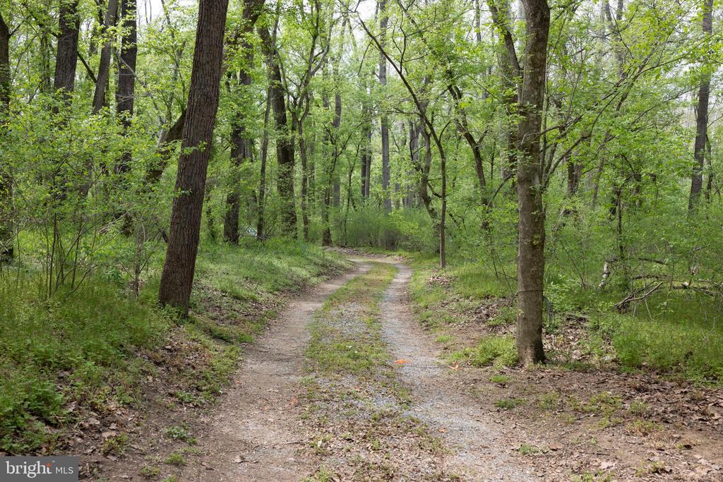 789 MILL RUN RD, SHENANDOAH, Virginia 22849, 2 Bedrooms Bedrooms, ,1 BathroomBathrooms,Residential,789 MILL RUN RD,VAPA2006286 MLS # VAPA2006286