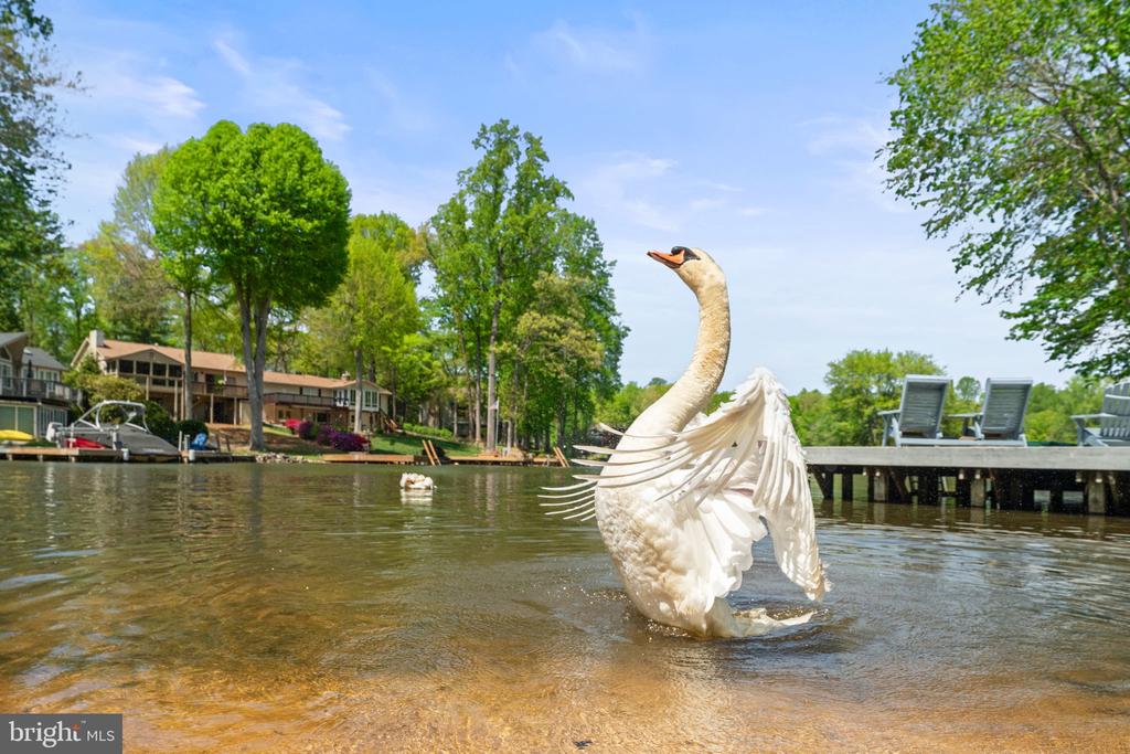 111 PATRICK HENRY CT, LOCUST GROVE, Virginia 22508, 4 Bedrooms Bedrooms, ,2 BathroomsBathrooms,Residential,111 PATRICK HENRY CT,VAOR2013946 MLS # VAOR2013946